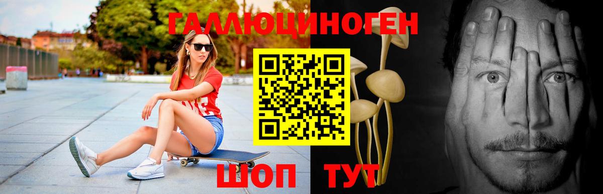 Галлюциногенные грибы мухоморы  Вход с VPN  Сунжа 